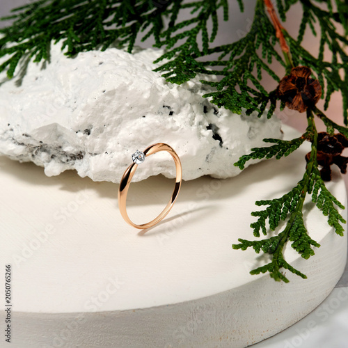 Photos Elegant Gold Ring with Diamond Accent Displayed on Natural Stone and Greenery, H