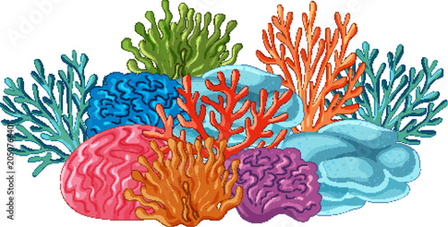 Colorful Tropical Coral Reef Collection Isolated on White Background