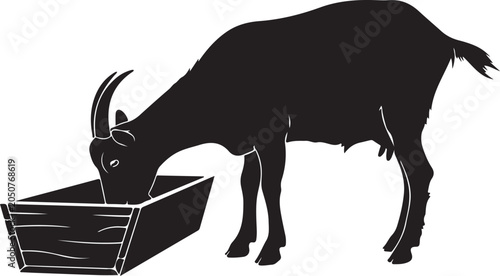 Black goat eating from wooden trough silhouette feeding