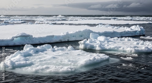 Thick Opaque Ice Floes Drift on Dark Ocean Waters Under Cloudy Sky
