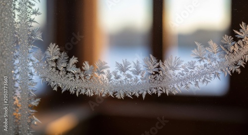 Intricate Frost Bloom Pattern on Window Glass in Winter