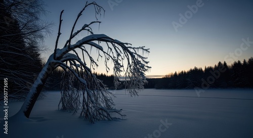 Frozen Winter Tree Branch Under Twilight Sky