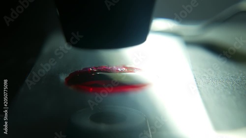 Microscope lens examining blood sample on glass slide in laboratory, close up.