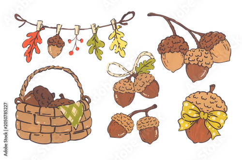 Acorn hand drawn illustration set, autumn oak nut collection with leaves, cozy thanksgiving harvest decor, warm forest nature mood, vintage pattern card graphic design