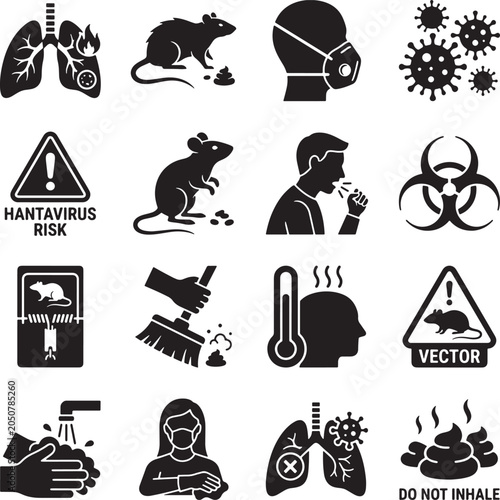 Hantavirus vector icon set, symptoms, prevention, transmission, warning.