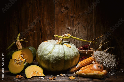 Pumpkins with cut squash, sunflower and corn cobs on wooden table against textured wall. Autumn harvest still life with Thanksgiving vegetables and warm rustic tones