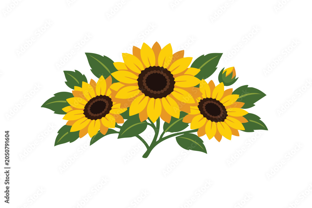 Obraz premium Three yellow sunflowers with green leaves isolated on white background sun flower sunflower