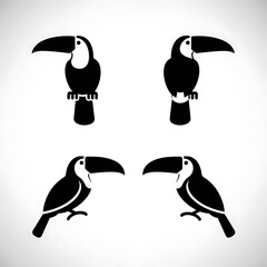 Four black and white penguin silhouettes standing and swimming.