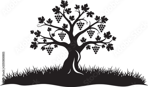 Black silhouette of grapevine tree with grass