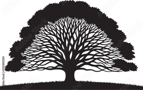 Black silhouette of tree with sprawling branches on grass