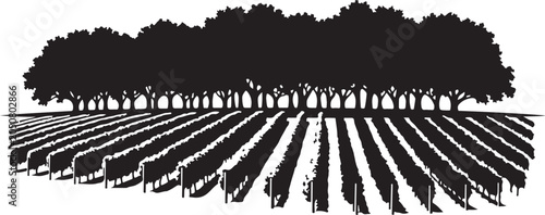 Black silhouette of vineyard with trees rows