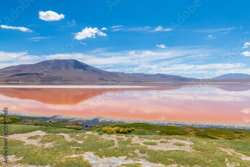 Breathtaking red water landscape of Laguna Colorada lake in Bolivia