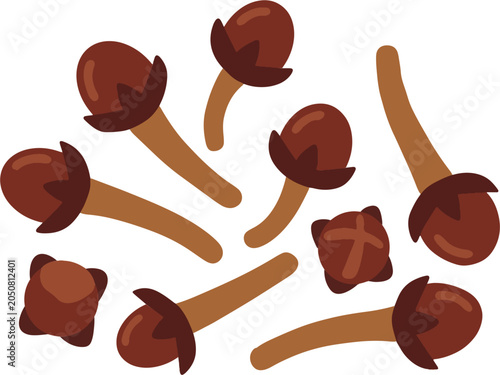 Dried cloves spice vector illustration