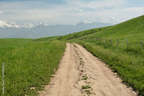 Schilderij op canvas Dirt road traversing lush green hills with distant snowy mountains under a blue sky, featuring a fence along the right side and surrounded by tall grass and wildflowers