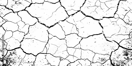 Schilderij op canvas Organic cracked earth texture with natural fracture lines in bold monochrome, ideal for geological themes, decay concepts, or rustic background elements
