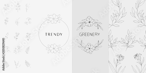 Bilde på lerret Botanical line drawings collection on a white background delicate floral element