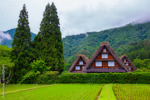 Three houses that are landmarks of traditional and Historical Japanese village Shirakawago in Gifu Prefecture Japan, Gokayama has been inscribed on the UNESCO World Heritage it Gassho-zukuri houses.