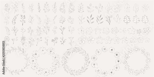 Valokuva Floral ornament vector set with delicate leaves and blossoming flower arrangemen
