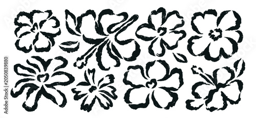 Hand-drawn hibiscus flowers set. Black brush stroke outline floral collection...