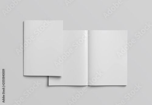 Magazine cover and open magazine mockup on isolated white background. 3D rendering