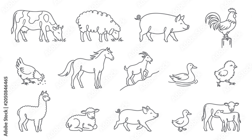 Fototapeta premium Farm Animals Line Art Collection: Cow, Sheep, Pig, Rooster, Chicken, Horse, Goat, Duck, Chick