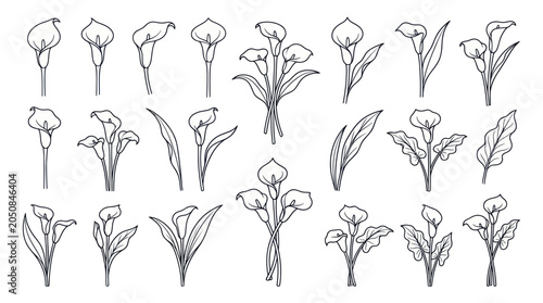Calla Lily Flower Line Art Collection - Elegant Botanical Illustrations