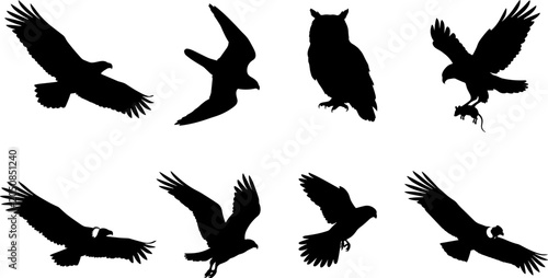 Foto Vector set of flying birds of prey silhouettes featuring eagles, owls, hawks, an