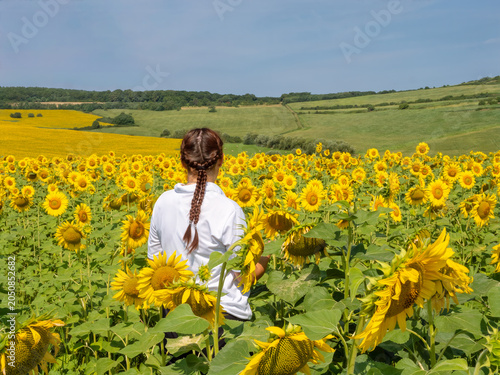 Woman standing among blooming sunflowers in summer countryside