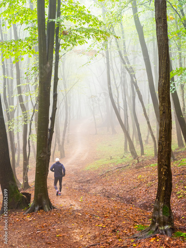 Senior runner training on misty forest trail in Faget woodland, Cluj