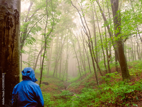 Hiker observing misty forest landscape in dramatic morning light