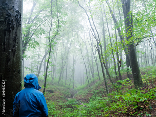 Hiker observing misty forest landscape in dramatic morning light