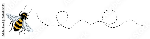 Honey bee with dotted line path on transparent background