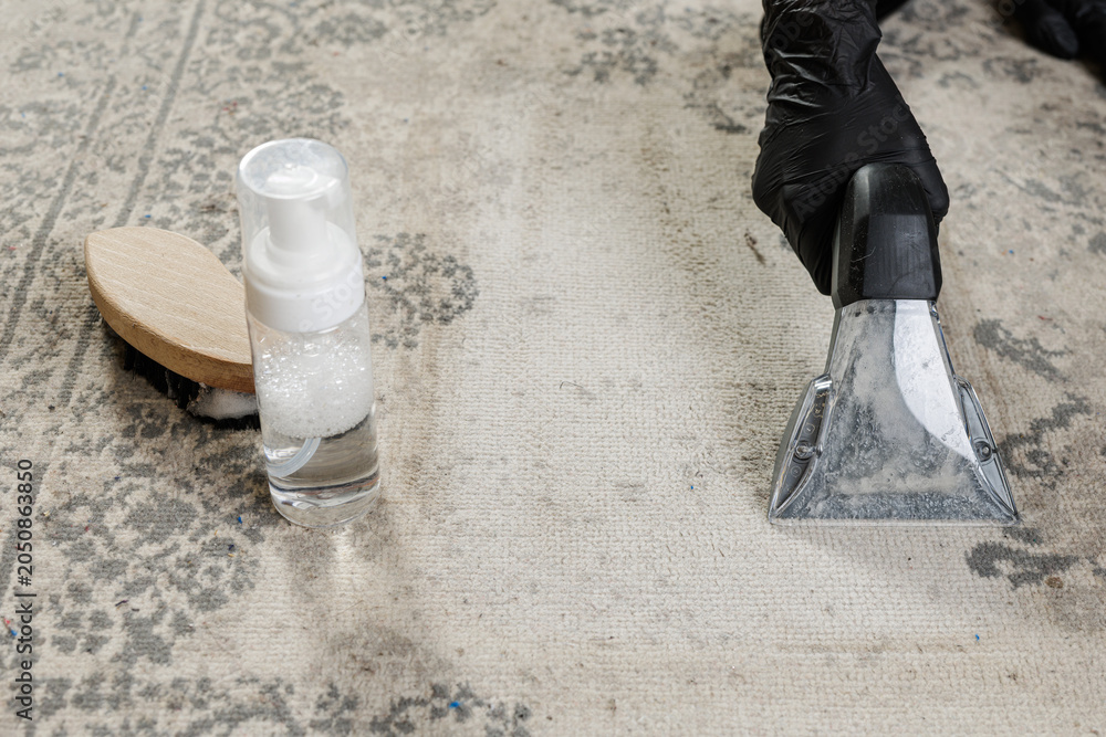 Fototapeta premium Professional Carpet and Upholstery Cleaning Tools in Action