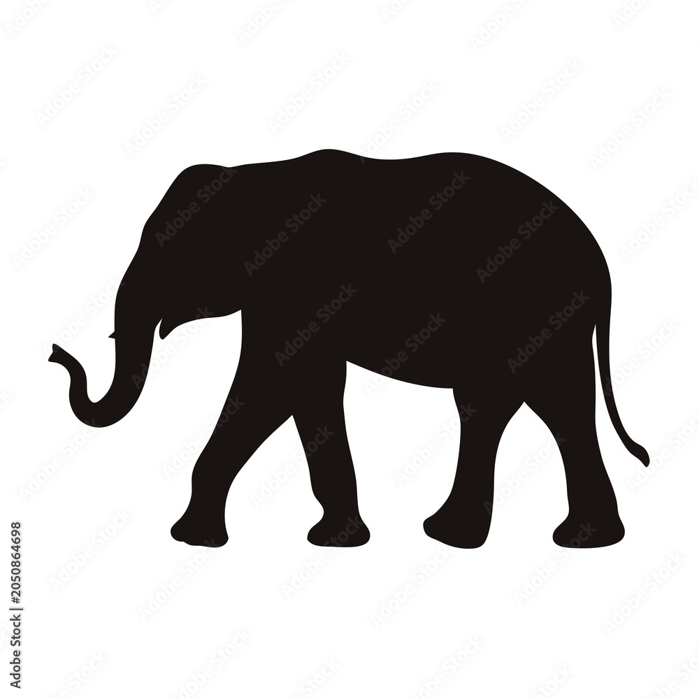 Fototapeta premium A striking silhouette of a majestic African elephant walking peacefully forward