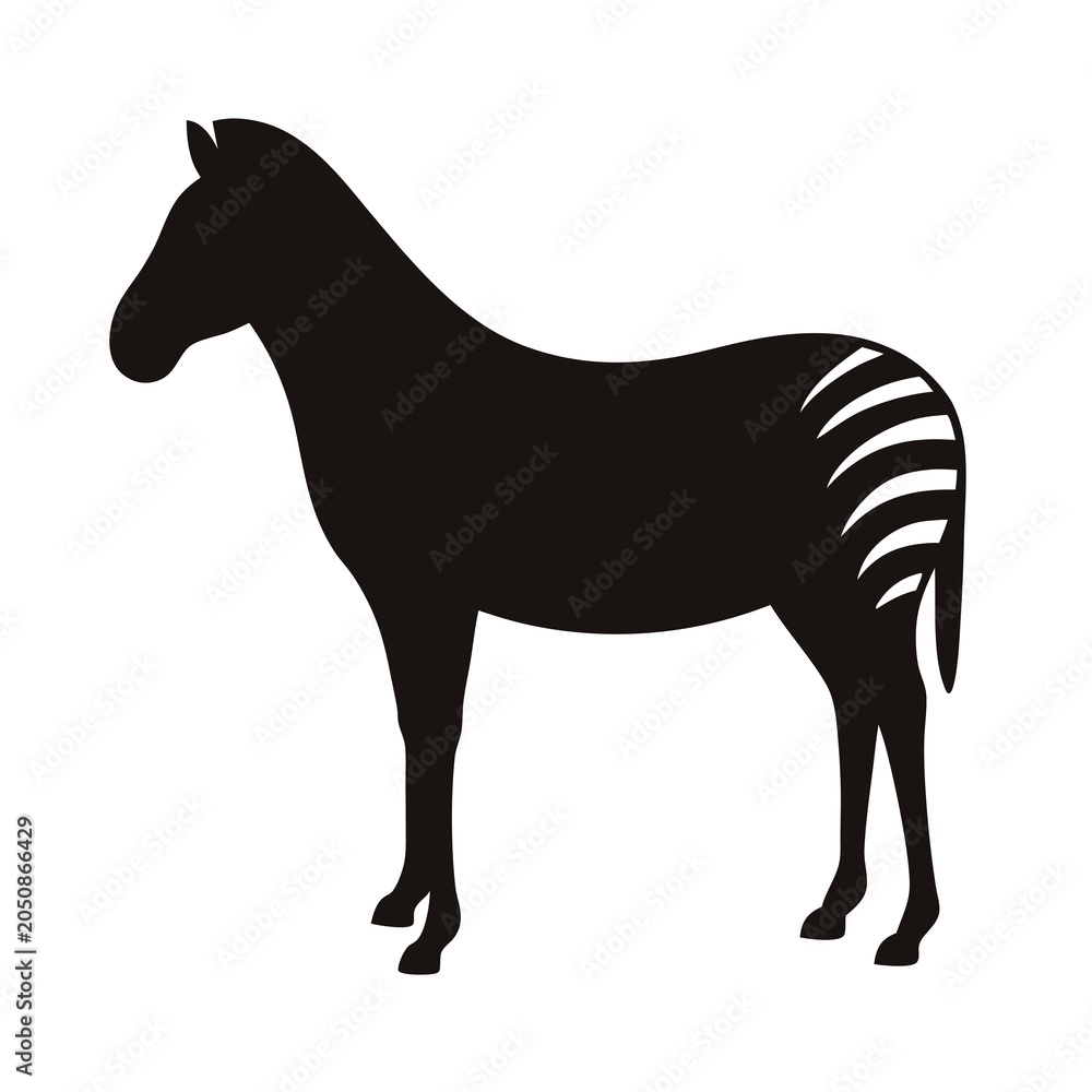 Fototapeta premium Full body zebra profile view, silhouetted in black on white background