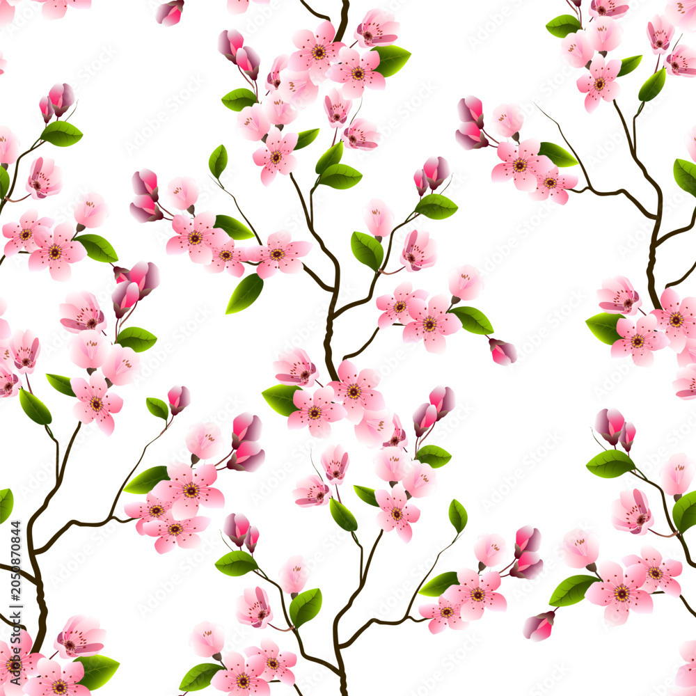 Fototapeta premium Branches of cherry blossoms on a transparent background.Pattern of branches of blooming cherry on a white background.