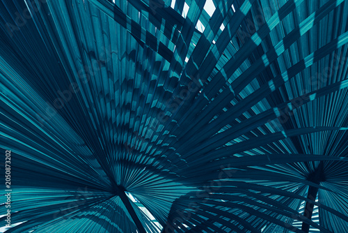 Abstract dark blue and teal fan palm leaves pattern for creative tropical background.