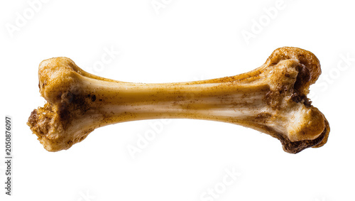 Tableau sur toile Cooked chicken bone with textured surface and small meat remnants