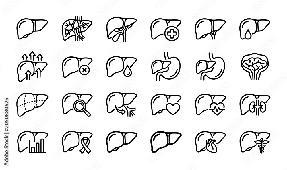 Fototapeta premium Liver icons set black and white line drawings