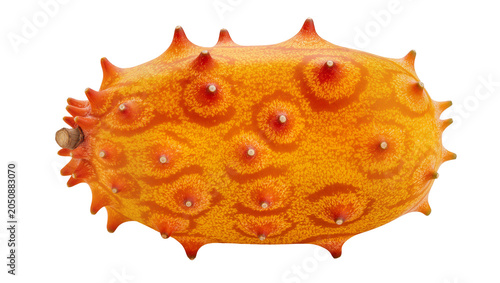 Fotografia Kiwano fruit with orange spiky rind and stem