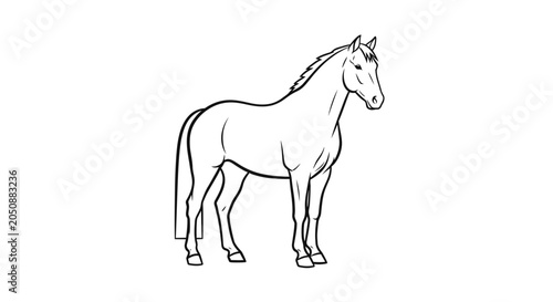 Elegant horse illustration in black and white against a clean white backdrop