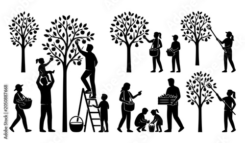 Foto People picking fruit from orchard trees silhouette collection with family harves