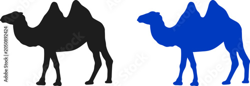 Fotografie Camels appear as two distinct silhouettes in black and blue colors against a plain white background