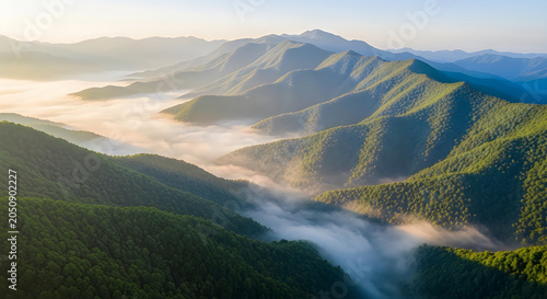 Misty valleys and forested mountains under a clear sky at dawn