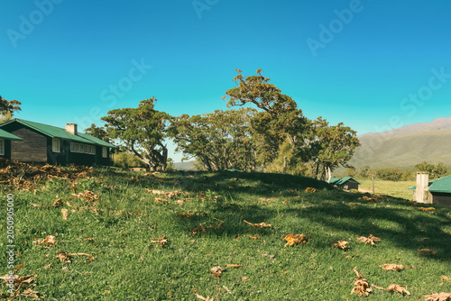 Rustic Wooden Mountain Cabin and Hikers Lodge Along the Chogoria Route in Mount Kenya National Park, Kenya 