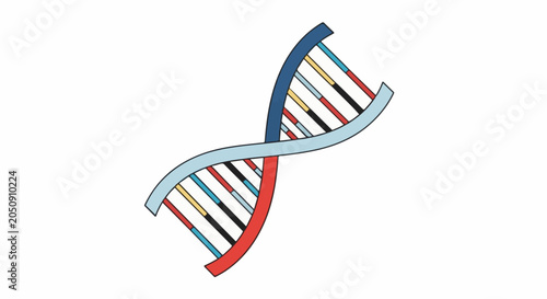 Stylized double helix structure with colored segments