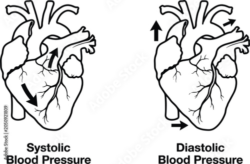 Photos Systolic and diastolic blood pressure heart diagram vector, medical cardiology a