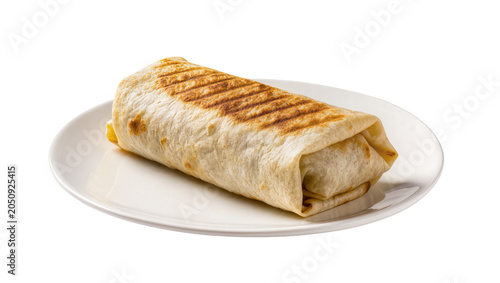 Obraz na plátně Grilled burrito with toasted tortilla on white plate