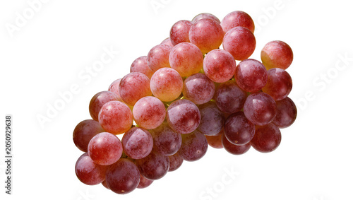 Red globe grapes cluster with pink and purple berries