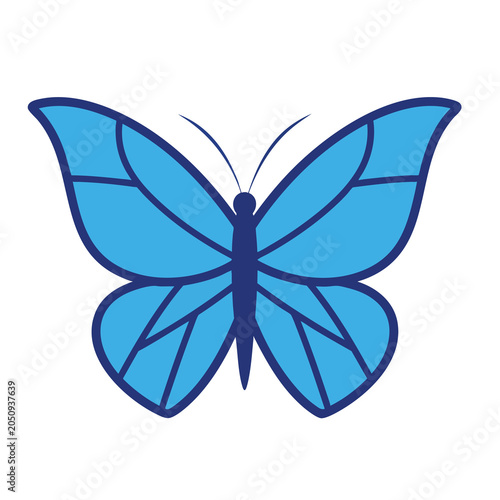 Blue butterfly illustration with dark blue outlines and details.